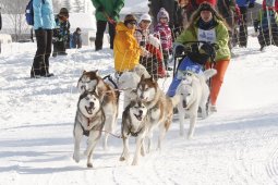 Lenk 2012 SM